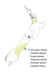 Veronica agrestis distribution map based on databased records at AK, CHR & WELT.
 Image: K.Boardman © Landcare Research 2022 CC-BY 4.0